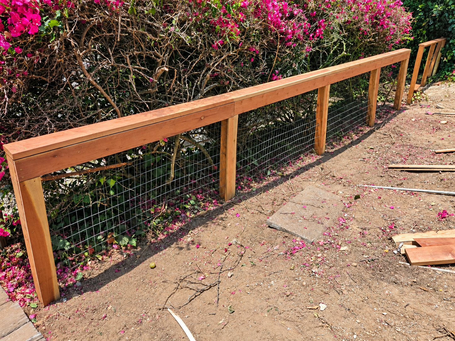 Wood framed wire mesh fence beside bougainvillea
