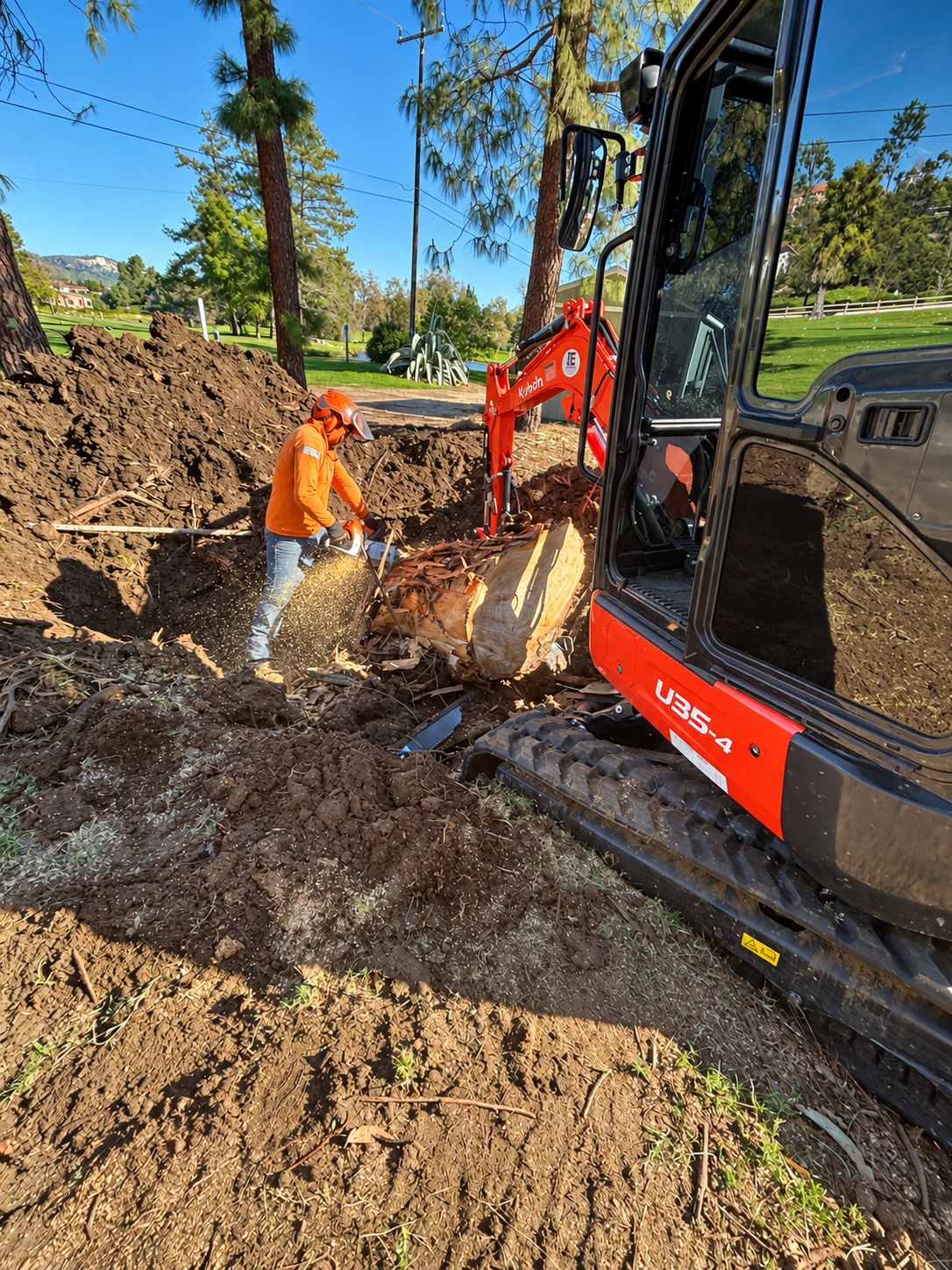 Crew member cutting a tree stump beside an excavator